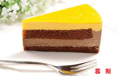 �¶�����ѧ�ֳ�